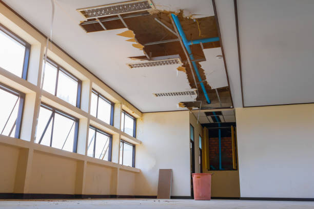 Best Water damage restoration services  in Key Biscayne, FL