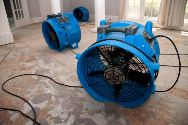 Best Carpet water damage restoration  in Key Biscayne, FL