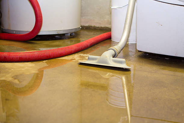 Best Residential water damage restoration  in Key Biscayne, FL