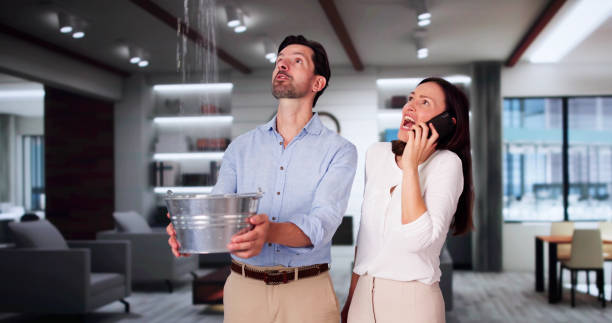 Best Mold removal after water damage  in Key Biscayne, FL